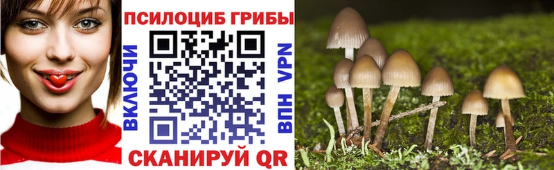 Псилоцибиновые грибы ЛСД  дарнет шоп  Аша 