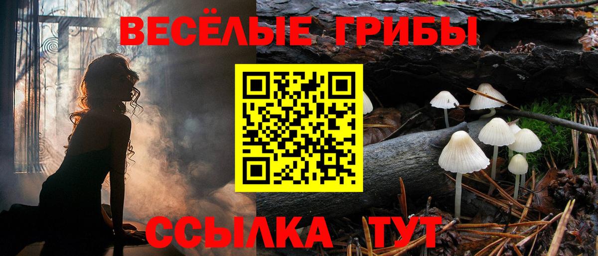 Псилоцибиновые грибы Cubensis Аша