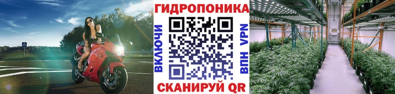 Бошки марихуана AK-47 как найти дарк нет Telegram Аша